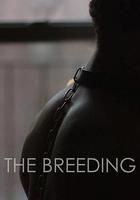 性奴養成記 線上看