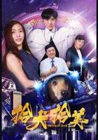 拾犬拾美 線上看