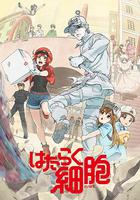 工作細胞 / はたらく細胞 線上看