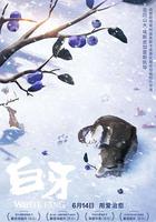 白牙 / Croc-Blanc 線上看