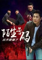 反詐風暴之陌生號碼 線上看