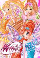 魔法俏佳人 第七季 線上看