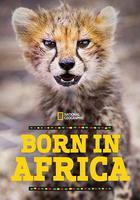 非洲原野育成記 線上看