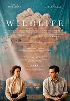 狂野生活 / Wildlife 線上看