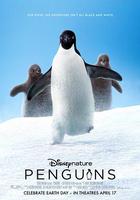 企鵝 / Penguins 線上看