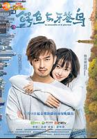 鱷魚與牙簽鳥 線上看