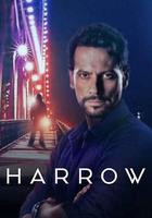神秘法醫 第二季 / Harrow Season 2 線上看