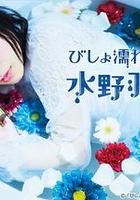 濕身偵探水野羽衣 線上看