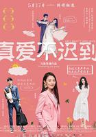 真愛不遲到 線上看