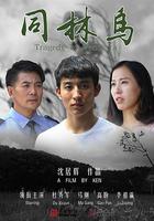 同林鳥 線上看