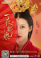 一夜新娘 線上看