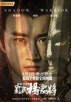 影武楊家將 線上看