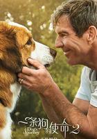 一條狗的使命2 / A Dog's Journey 線上看