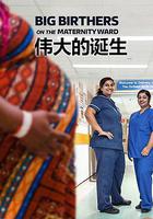 偉大的誕生 第一季 線上看