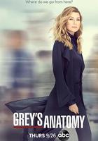 實習醫生格蕾 第十六季 / Grey's Anatomy Season 16 線上看