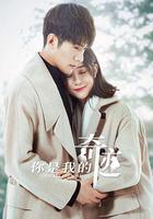 你是我的奇跡 線上看