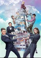 婚姻合夥人 線上看