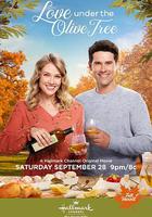 橄欖樹之戀 線上看