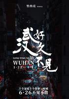 好久不見，武漢 線上看
