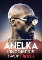 阿內爾卡：全是誤解 / Anelka: L'Incompris 線上看