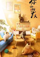 你好喵室友 線上看