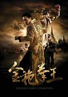 金袍拳王 線上看