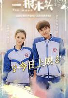 一根木頭 第二季 線上看