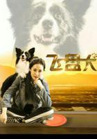 飛盤犬 線上看
