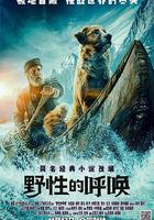 野性的呼喚 / The Call of the Wild 線上看