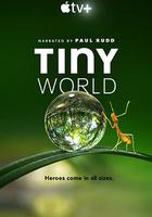 小小世界 第一季 / Tiny World Season 1 線上看