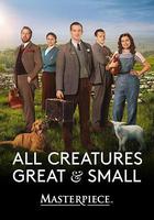 萬物生靈：2020聖誕特別集 / All Creatures Great and Small: Christmas Special 線上看