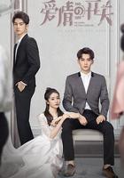 愛情的開關 線上看