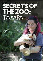 動物園秘辛：坦帕灣 第一季 線上看