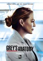 實習醫生格蕾 第十七季 / Grey's Anatomy Season 17 線上看