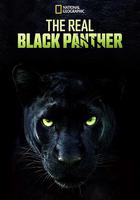 真黑豹無雙 / The Real Black Panther 線上看