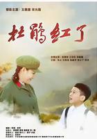 杜鵑紅了
