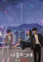 我的智能情人 / 나 홀로 그대 線上看