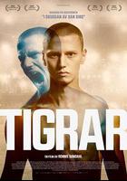 虎 / Tigrar 線上看