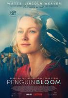 企鵝布魯姆 / Penguin Bloom 線上看