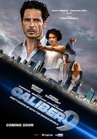 一槍斃命 / Caliber 9 線上看