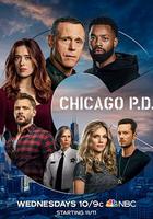 芝加哥警署 第八季 / Chicago P.D. Season 8 線上看