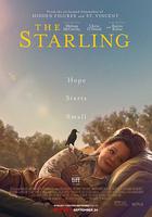 八哥 / The Starling 線上看