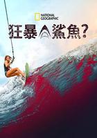 狂暴鯊魚？ 線上看