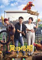 鳳歸梧桐 線上看