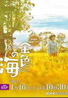 金色之海 線上看