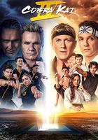 眼鏡蛇 第四季 / Cobra Kai Season 4 線上看