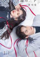 滿月之下請相愛 線上看