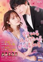 桃色 杏色 櫻色 / ももいろ あんずいろ さくらいろ 線上看