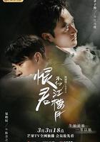 恨君不似江樓月 線上看