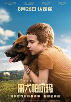 忠犬帕爾瑪 / Пальма 線上看